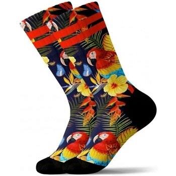 Chaussettes Pullin Chaussettes Homme COLORFULL