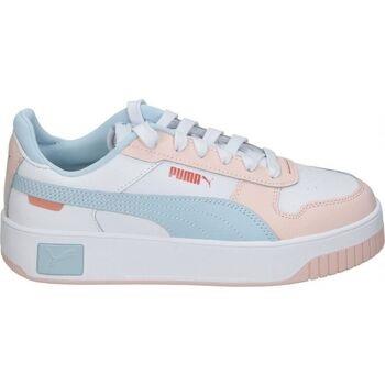 Chaussures Puma 393846-13