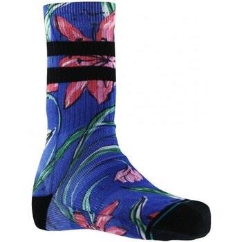 Chaussettes Stance Chaussettes Homme WAIPOUA