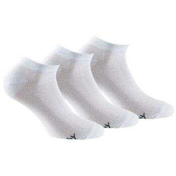 Chaussettes Kindy Pack de 3 paires d'invisibles femme en coton