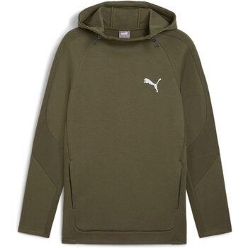 Sweat-shirt Puma EVOSTRIPE Hoodie DK