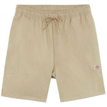 Short Dickies Shorts Pelican Rapids Homme Desert Sand