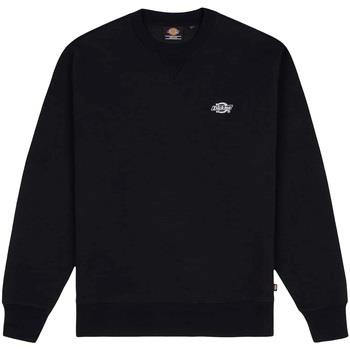 Sweat-shirt Dickies -