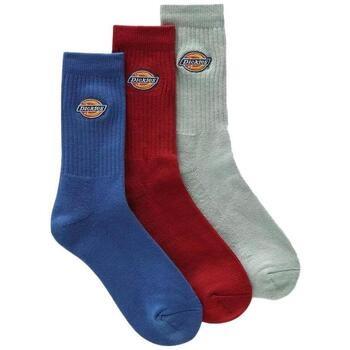 Chaussettes enfant Dickies DK0A4X82B82