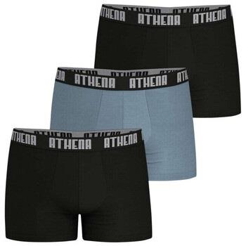 Boxers Athena 163940VTAH24