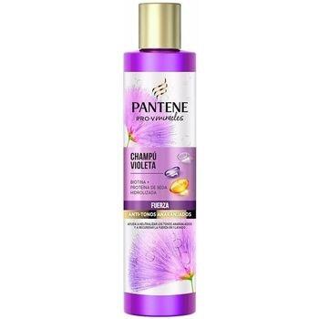 Shampooings Pantene Miracle Violeta Champú