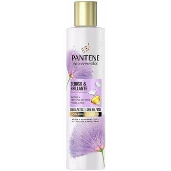 Shampooings Pantene Miracle Sedoso Brillante Champú