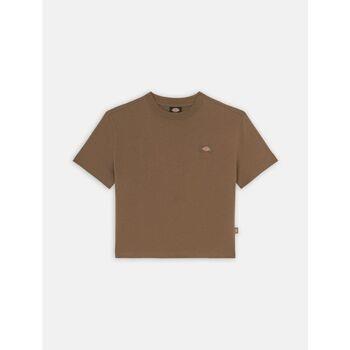 T-shirt Dickies OAKPORT BOXY - DK0A4Y8L-MR11 MUSHROOM