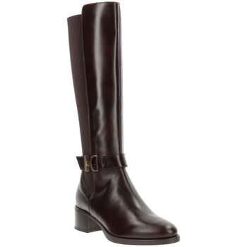 Bottes NeroGiardini I411750D