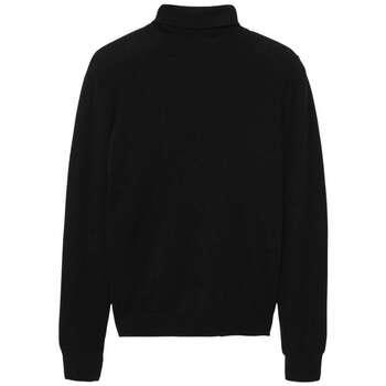 Pull Caroll 172352VTAH24