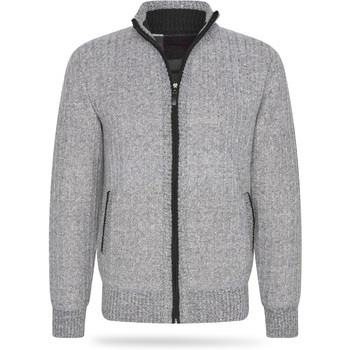 Sweat-shirt Cappuccino Italia Bounded Jacket Grijs