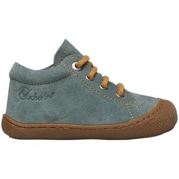 Derbies Naturino Chaussures premiers pas en suède COCOON