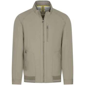 Blouson Hafnium 130506VTPE22