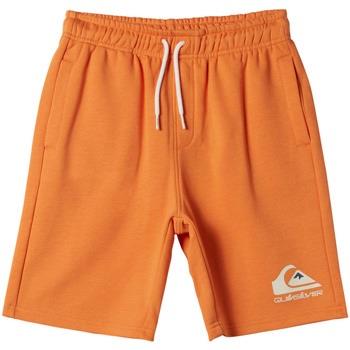 Short enfant Quiksilver Easy Day