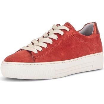 Baskets basses Gabor Sneaker