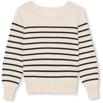 Pull Daxon by - Pull encolure ronde pure laine