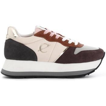 Chaussures Café Noir CNDAI25-DL6000-cuo