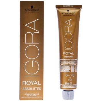 Colorations Schwarzkopf Igora Royal Absolutes 6-70