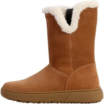 Bottes enfant Geox Bottes Cuir Theleven