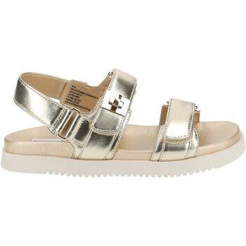 Sandales Steve Madden Sandales