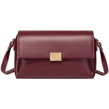 Pochette David Jones LOURDES