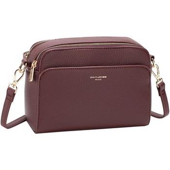 Pochette David Jones LORA