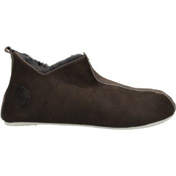 Chaussons Shepherd Pantoufles