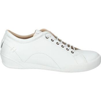 Baskets basses Hush puppies Sneaker