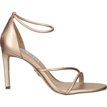 Sandales Steve Madden Sandales