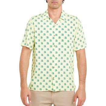 Chemise Pullin Chemise mixte FROGGY