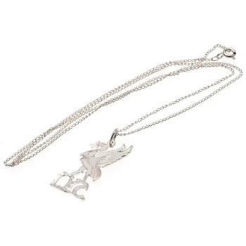 Collier Liverpool Fc BS4282