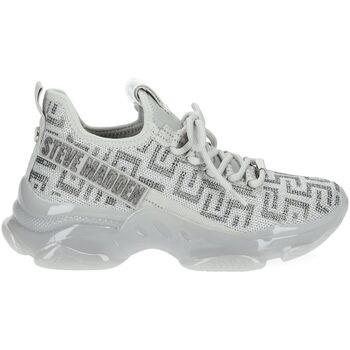 Baskets basses Steve Madden Sneaker