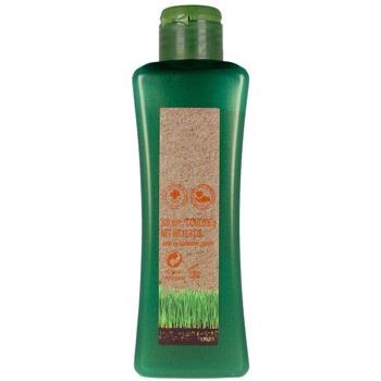 Shampooings Salerm Biokera Natura Treated Hair Shampoo