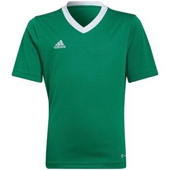 T-shirt enfant adidas Entrada 22