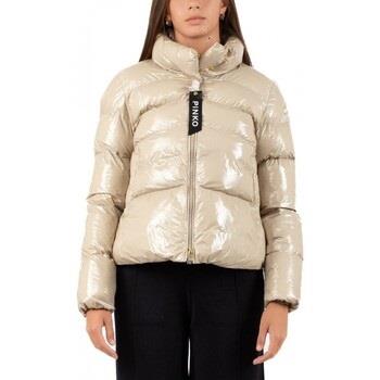 Blouson Pinko Blouson Femme