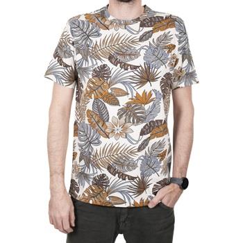 T-shirt Teddy Smith Tee Shirt ANTONE Naturel