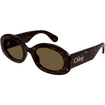 Lunettes de soleil Chloe CH0258S Lunettes de soleil, Havana/Marron, 53...