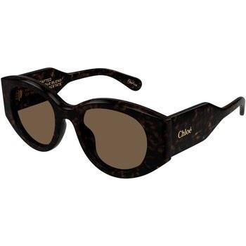 Lunettes de soleil Chloe CH0251S Lunettes de soleil, Havana/Marron, 51...