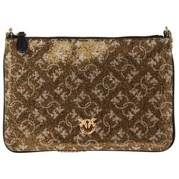 Pochette Pinko Accessoires Femme