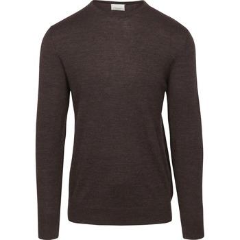 Sweat-shirt Profuomo Pull-over Laine Merinos Marron Foncé