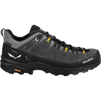 Chaussures Salewa ALP TRAINER 2 GTX M