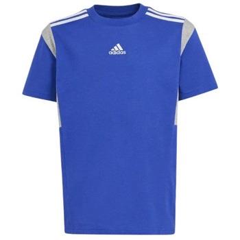 T-shirt enfant adidas TEE SHIRT B T CB - SELUBL - 13/14 ans