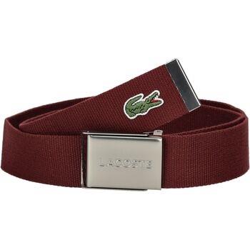 Ceinture Lacoste Ceinture