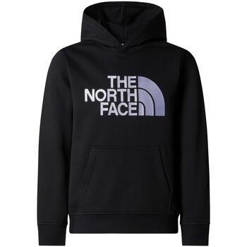 Sweat-shirt enfant The North Face B drew peak p/o hoodie