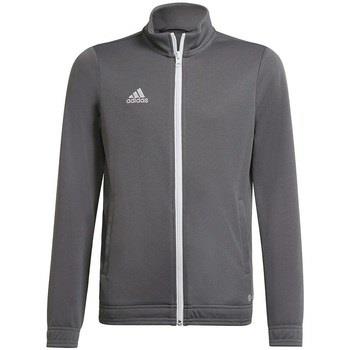 Sweat-shirt enfant adidas Entrada 22 Track