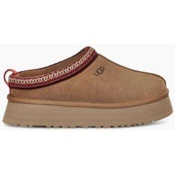 Ville basse UGG Tazz Chestnut