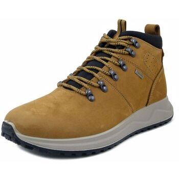 Boots Imac Homme Chaussures, Bottine en Nubuck, Lacets - 652918