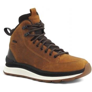 Chaussures Geox Polacco Spherica Sneaker Uomo Dark Coffe U46HMA0FFBCC2...