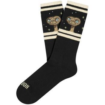 Chaussettes Jimmy Lion -