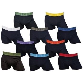 Boxers Billtornade -